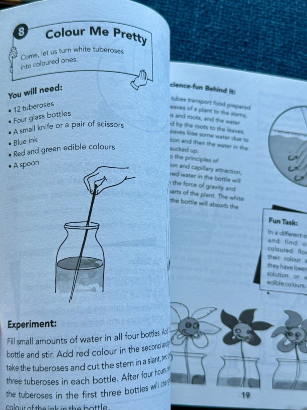 Experiment with Kitchen Science + Fun Science Experiments Books - Picture 13 of 14